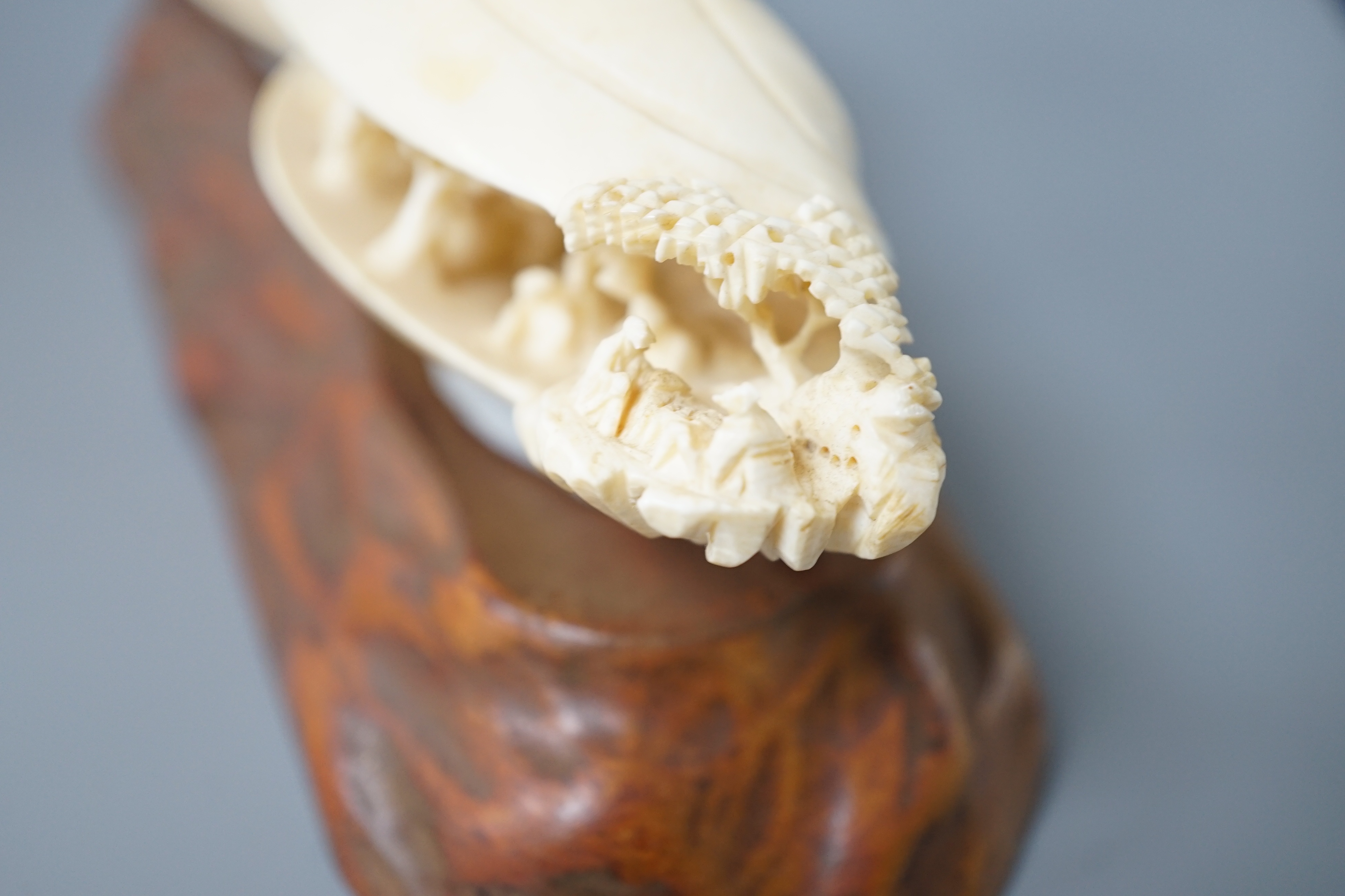 A large Japanese ivory model of the clam’s dream, Meiji period, wood stand. 18cm long